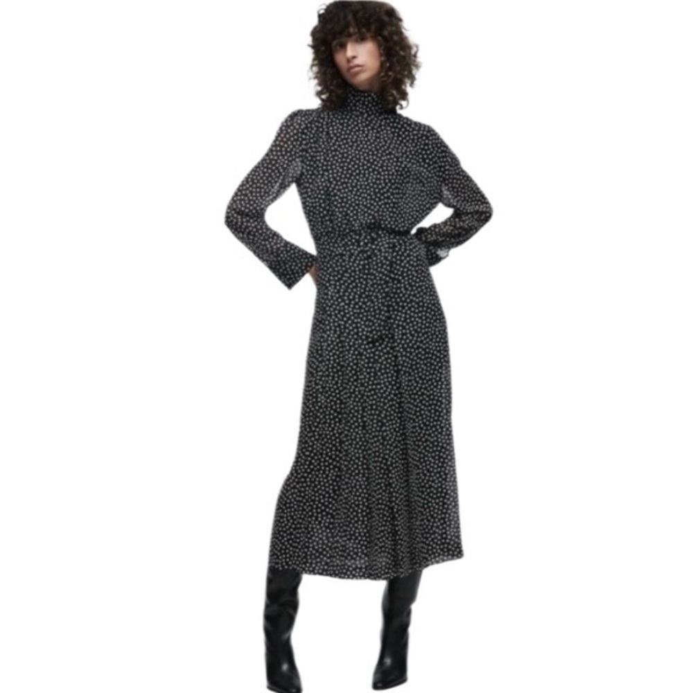 Zara Polk A Dot Print Midi Dress